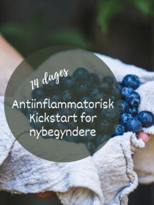online kursus antiinflammatorisk kost