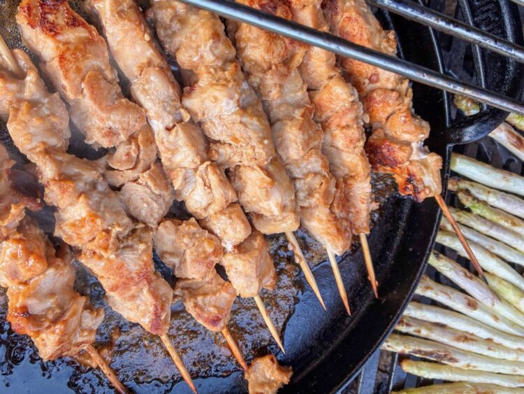 peanutmarinerede kyllingespyd